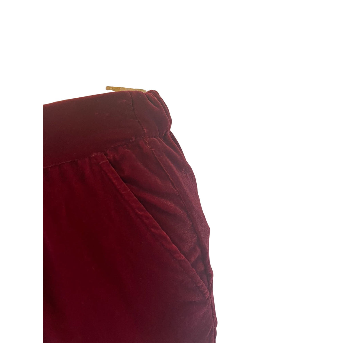 NWT GAP Straight Front Zipper Trendy Burgundy Size 10 Petite Women's Pants