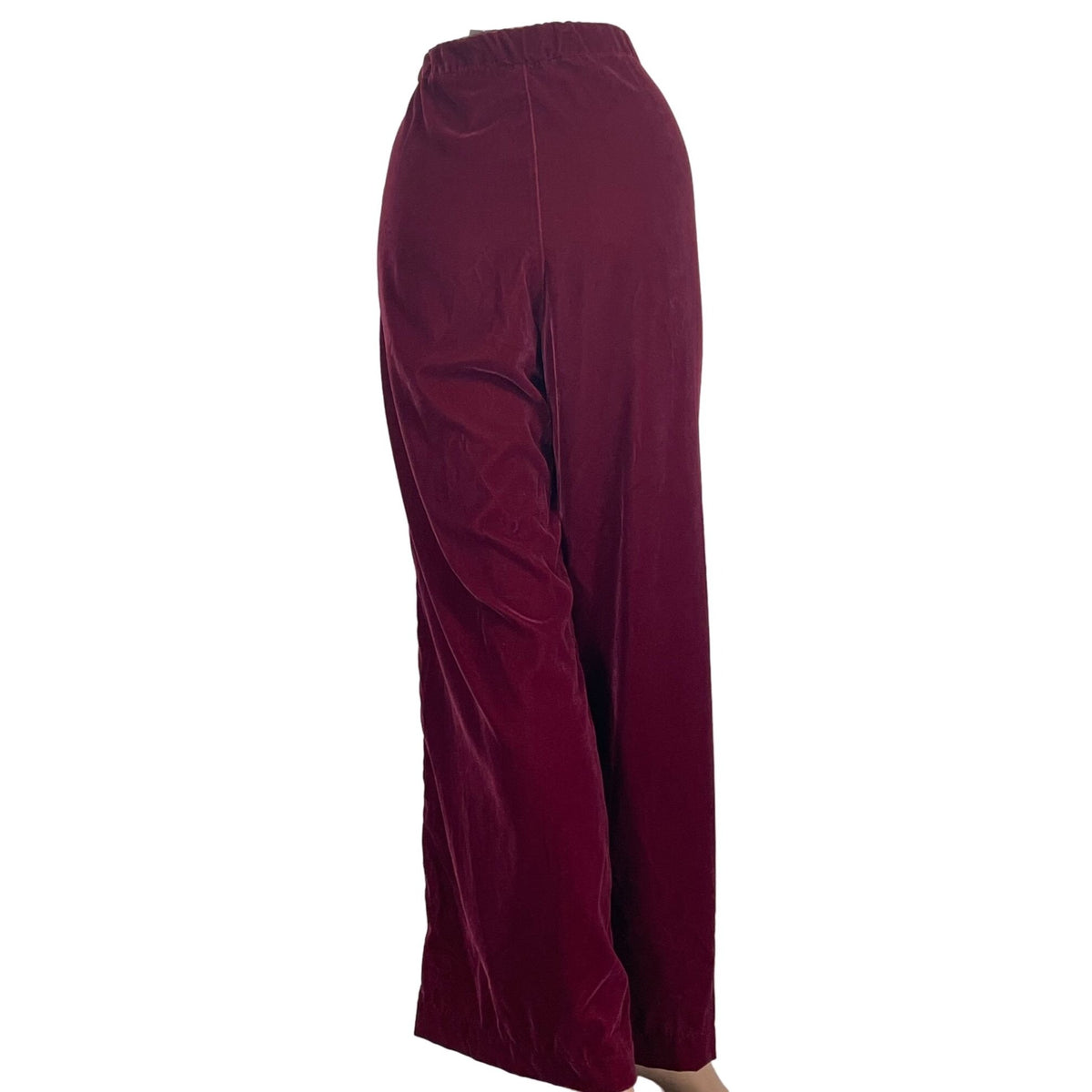 NWT GAP Straight Front Zipper Trendy Burgundy Size 10 Petite Women's Pants